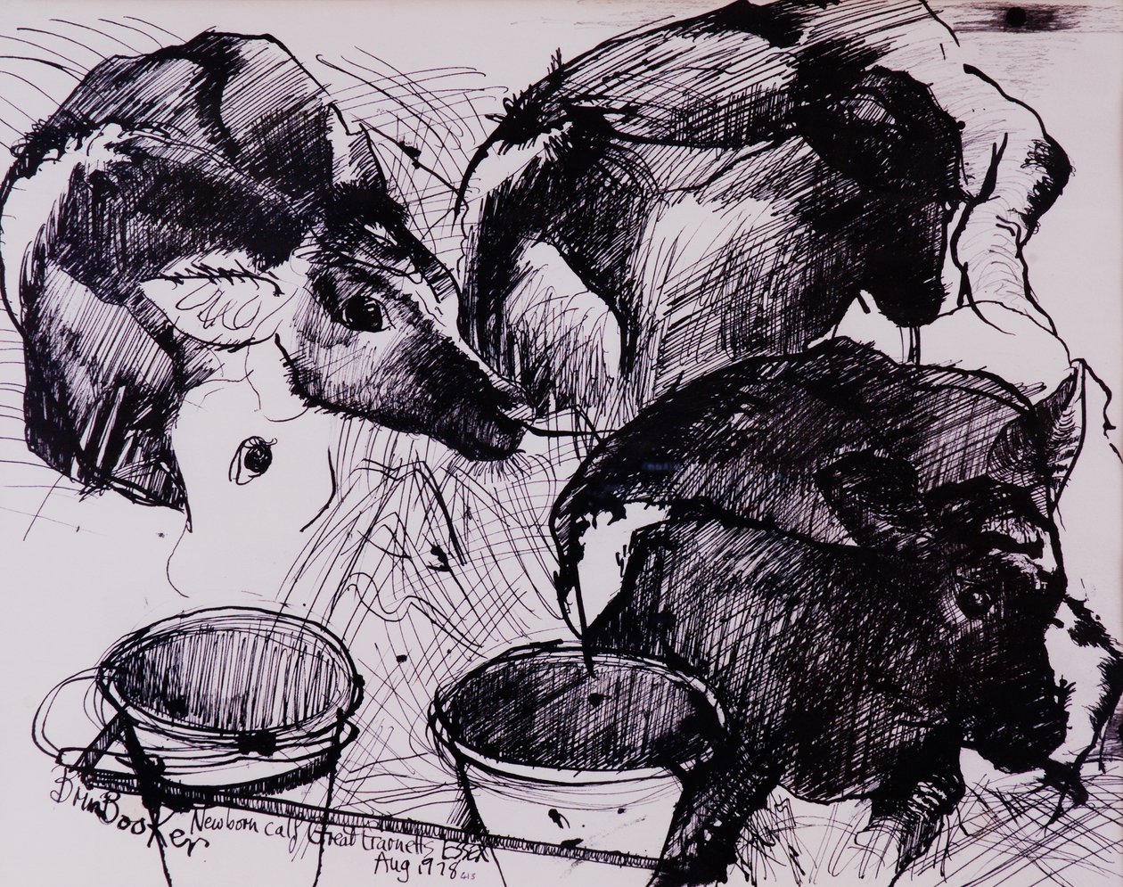 Terneros, húmedos, recién nacidos, 1978 de Brenda Brin Booker