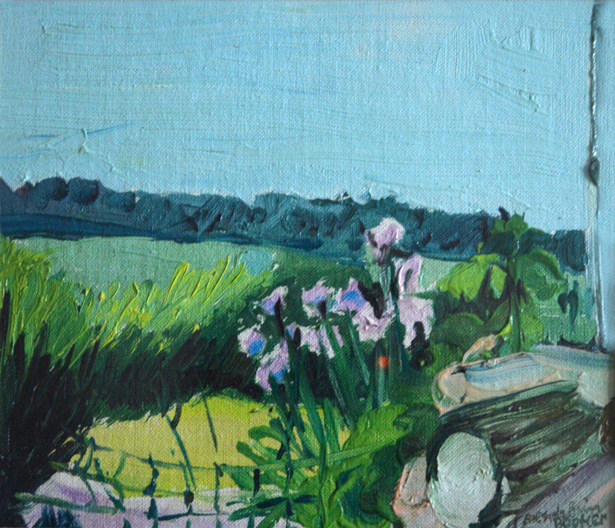 Iris en el Jardín de Brenda Brin Booker
