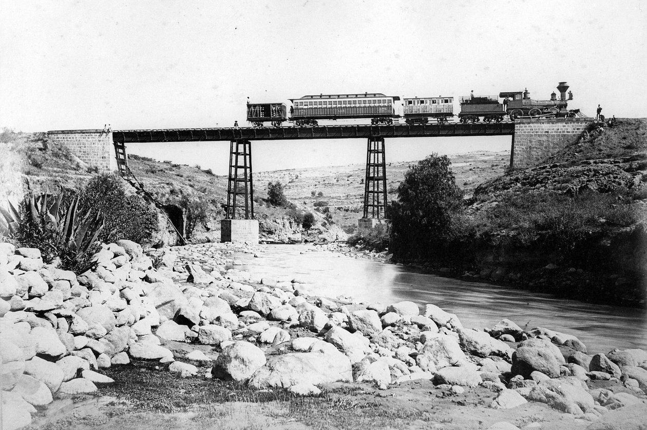 Tren cruzando un puente en las Indias Occidentales Británicas, c.1880 de British Photographer