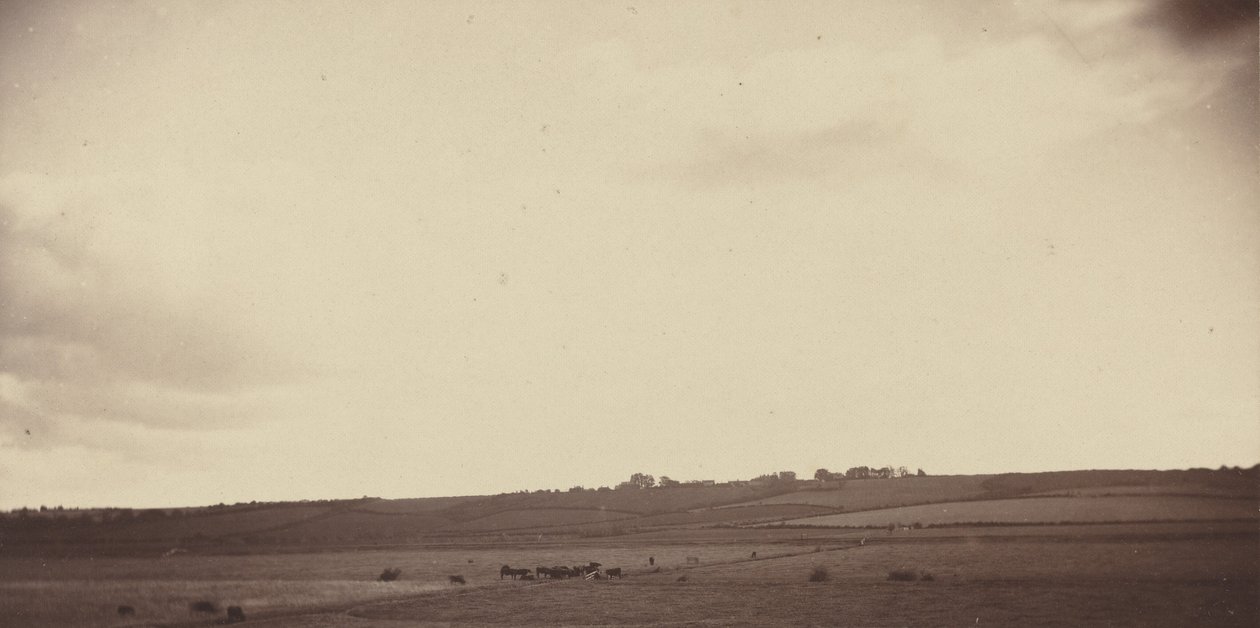 Vista de campos con vacas, años 1850-1860 (foto) de British Photographer