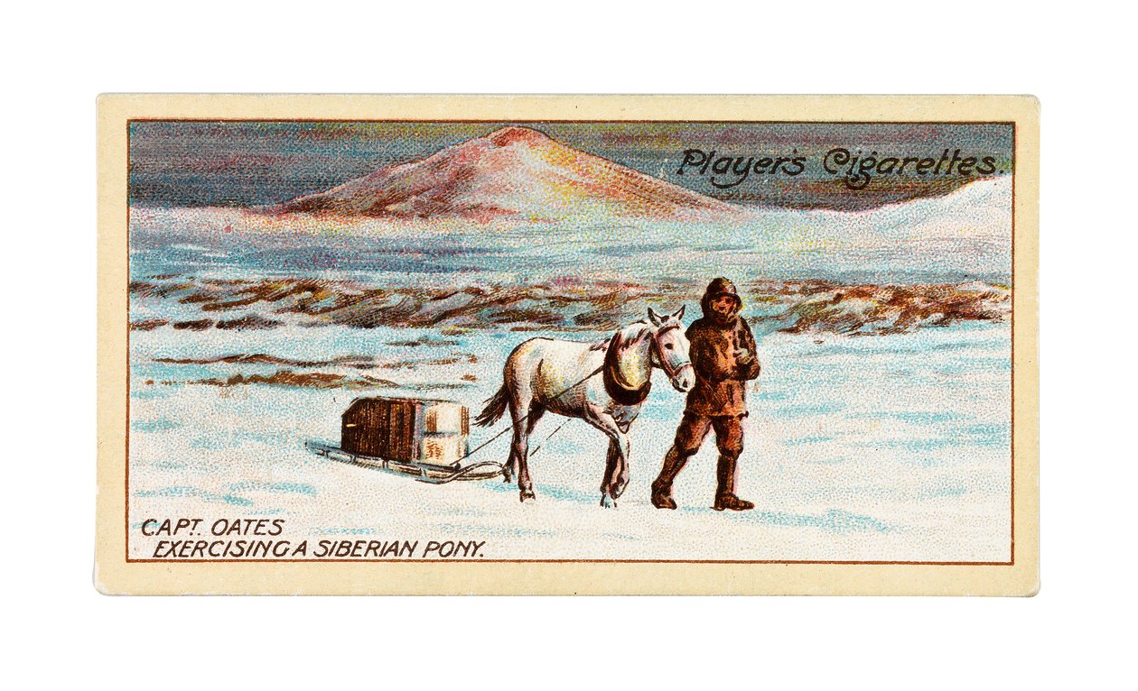 El capitán L.E.G. Oates ejercita un poni siberiano en el hielo marino frente al cabo Evans. de British School
