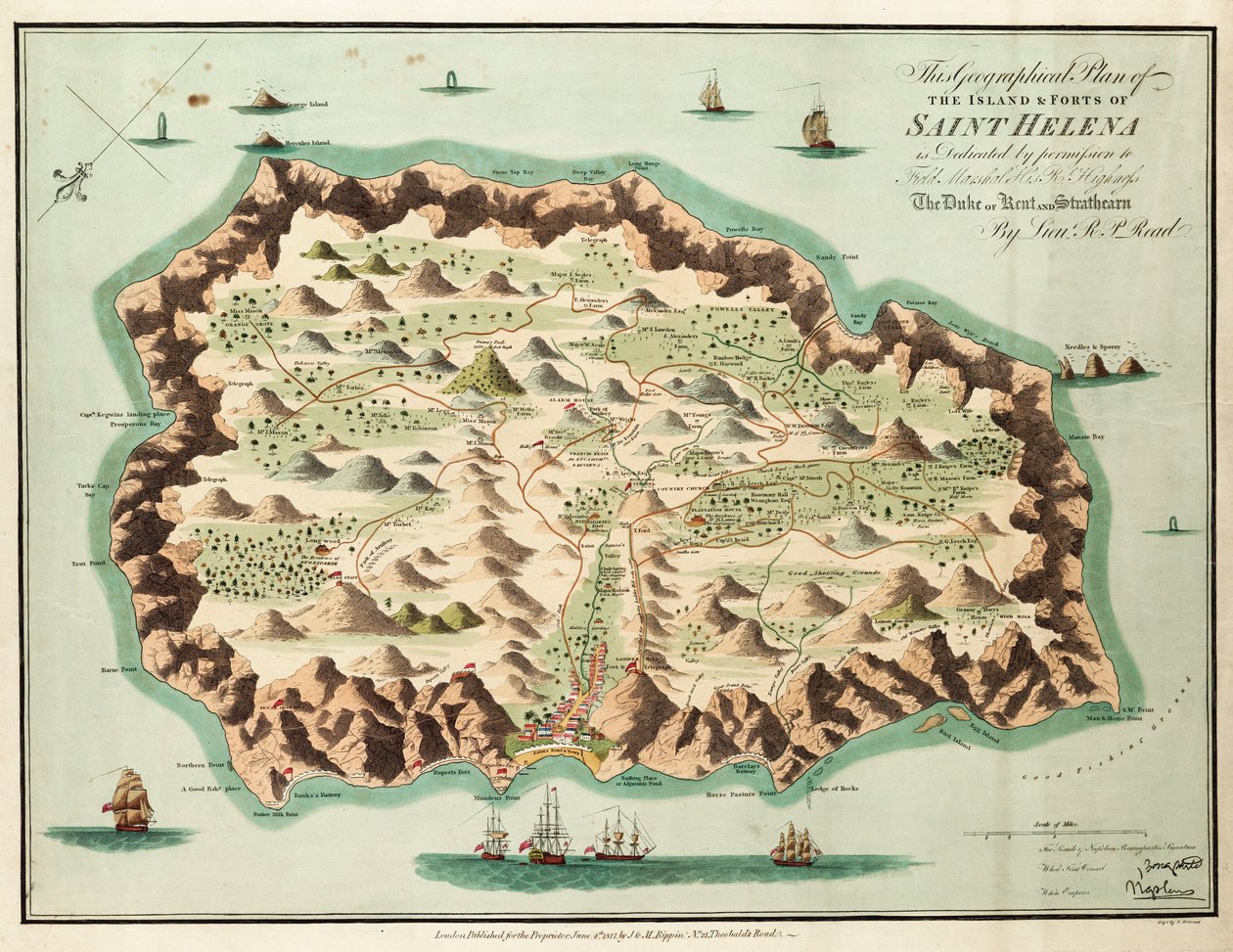 Este plano geográfico de la Isla de Santa Elena está dedicado con permiso al Mariscal de Campo Su Alteza Real el Duque de Kent y Strathearn de British School