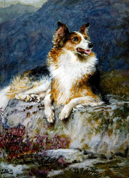 Collie en un paisaje de Briton Riviere