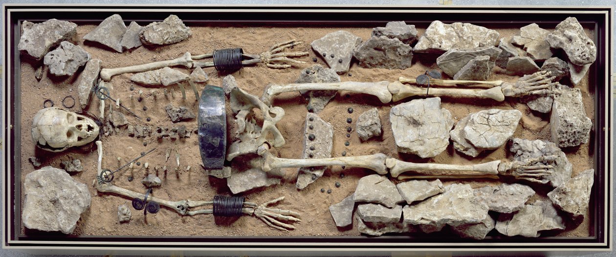 Tumba femenina ricamente dotada de Molzbach bei Huenfeld de Bronze Age