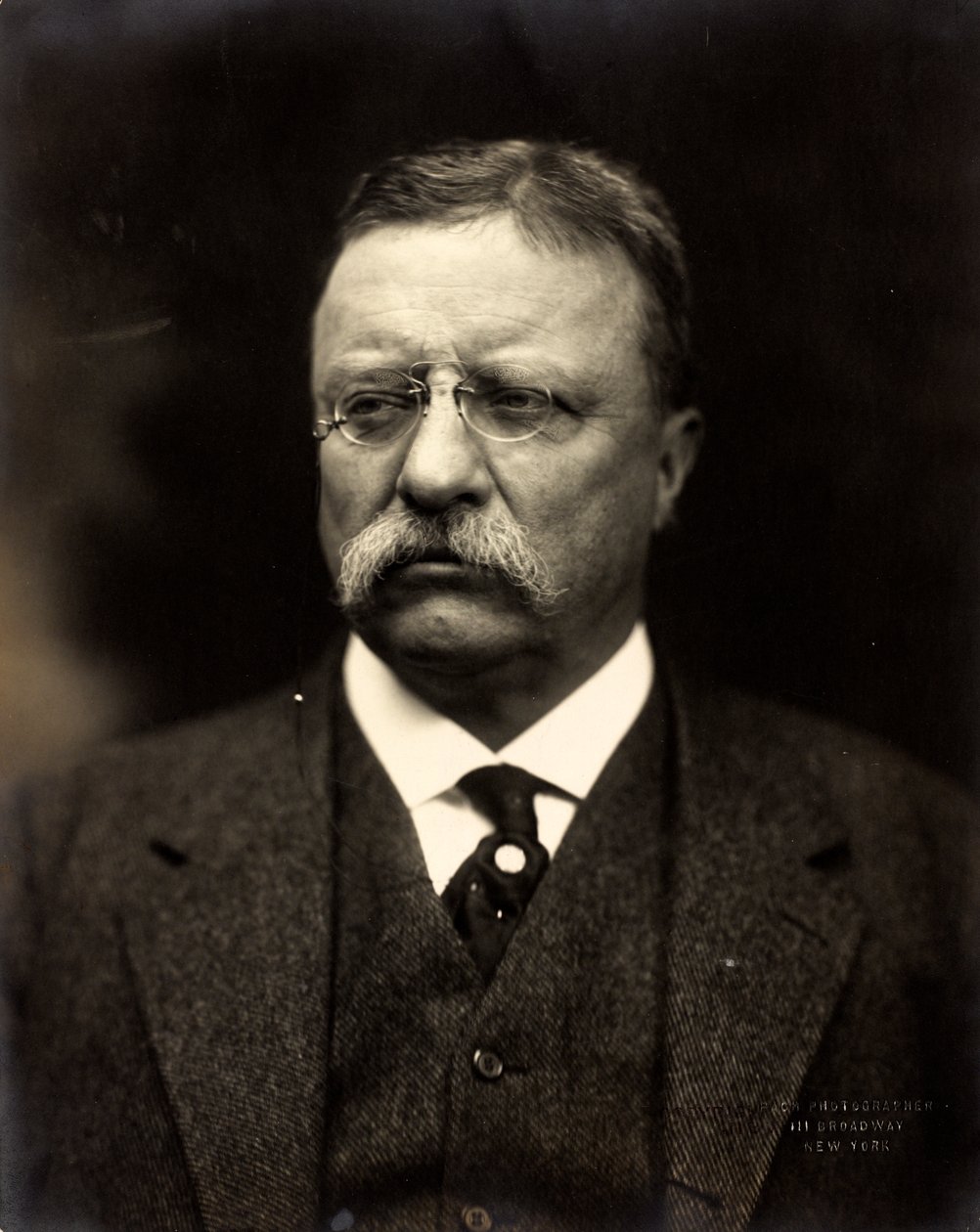 Theodore Roosevelt, c.1915 de Brothers Pach