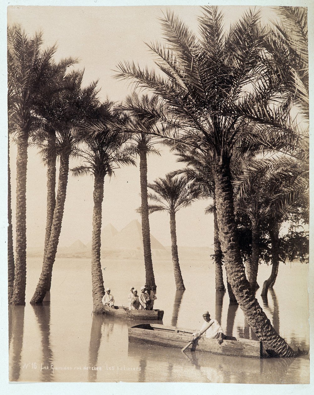 Un palmeral al pie de las pirámides de Egipto - fotografía de los hermanos Zangali, finales del siglo XIX de Brothers Zangaki