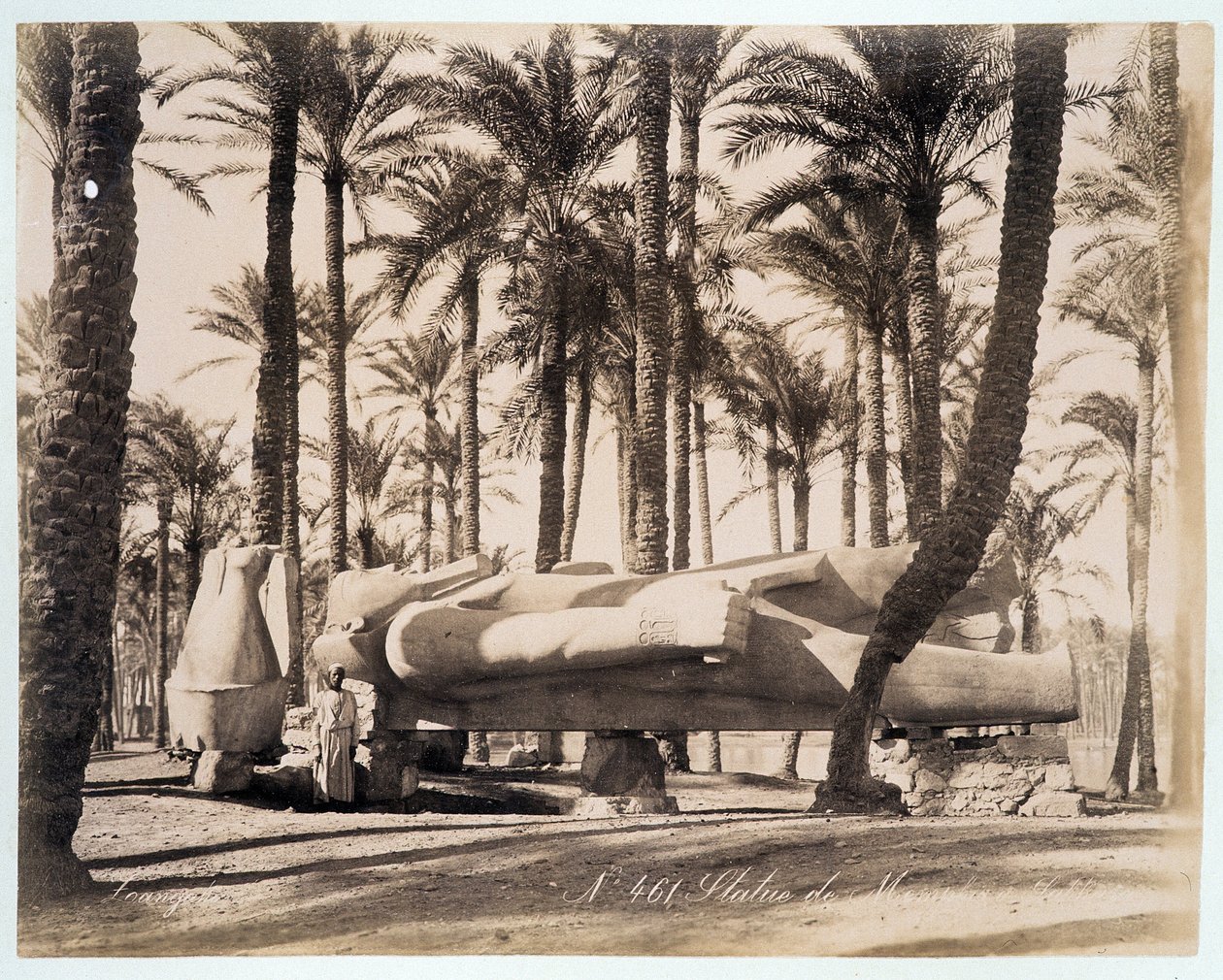 Una estatua de Menfis yace en un palmeral en Egipto - fotografía de los hermanos Zangali, finales del siglo XIX de Brothers Zangaki