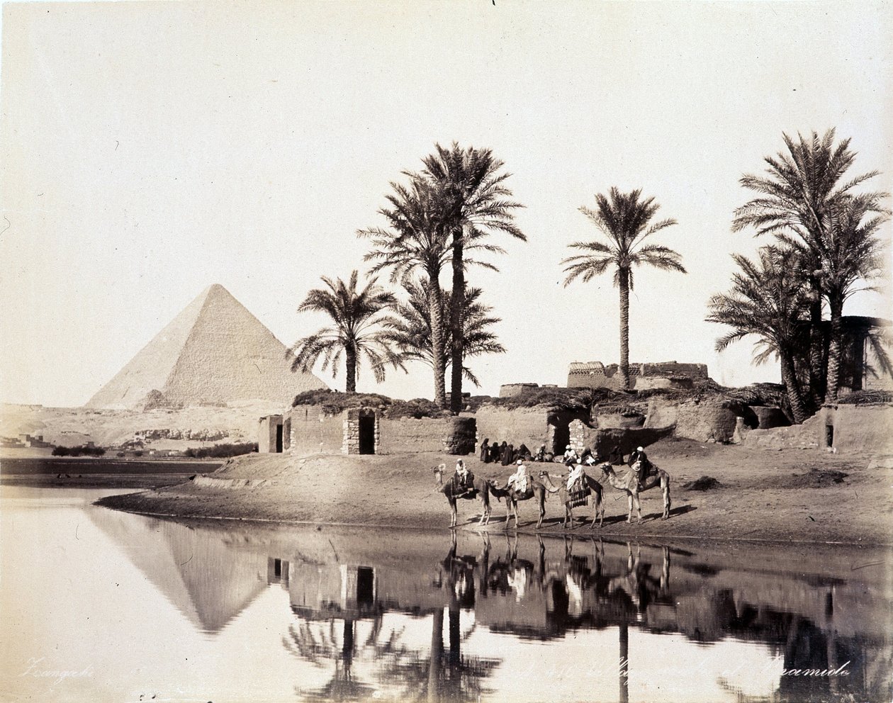 Camellos bebiendo al pie de las pirámides de Egipto - fotografía de los Hermanos Zangali, finales del siglo XIX de Brothers Zangaki