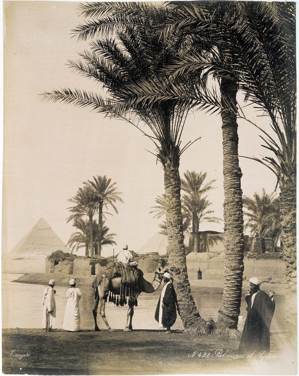 Palmeral al pie de las pirámides de Egipto - fotografía de los Hermanos Zangali, finales del siglo XIX de Brothers Zangaki