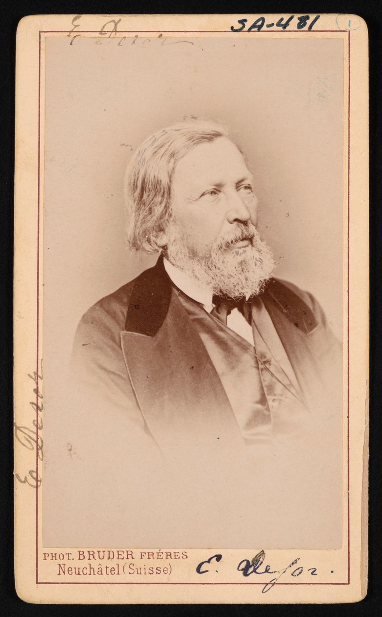 Retrato de Pierre Jean Edouard Desor 1811-1882, antes de 1882 de Bruder Freres