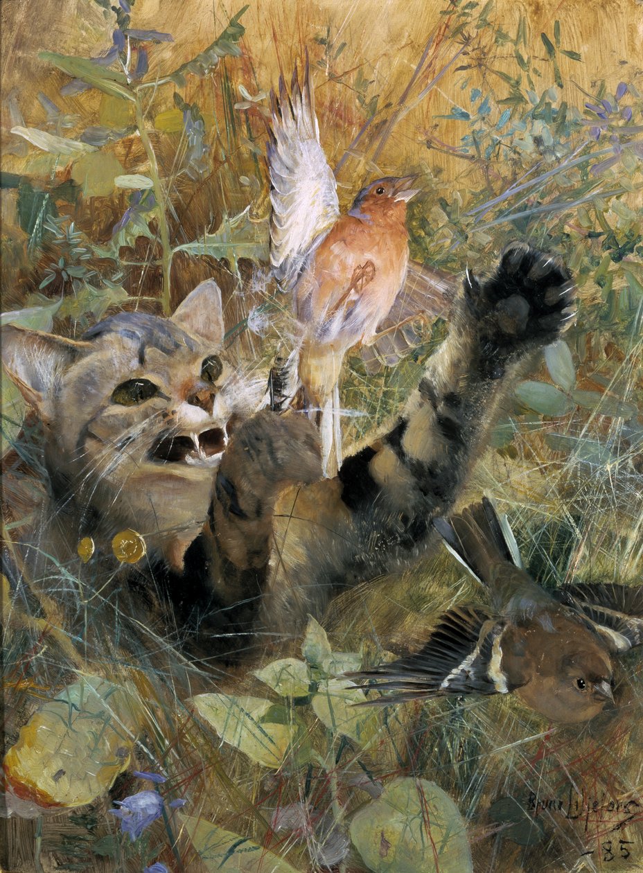 Un gato y un pinzón, 1885 de Bruno Andreas Liljefors