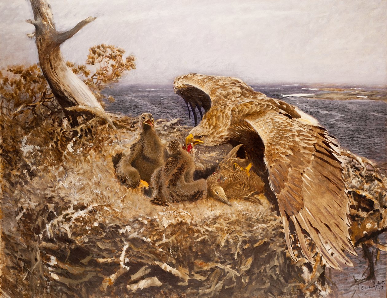 Nido de águila marina, 1907 de Bruno Andreas Liljefors
