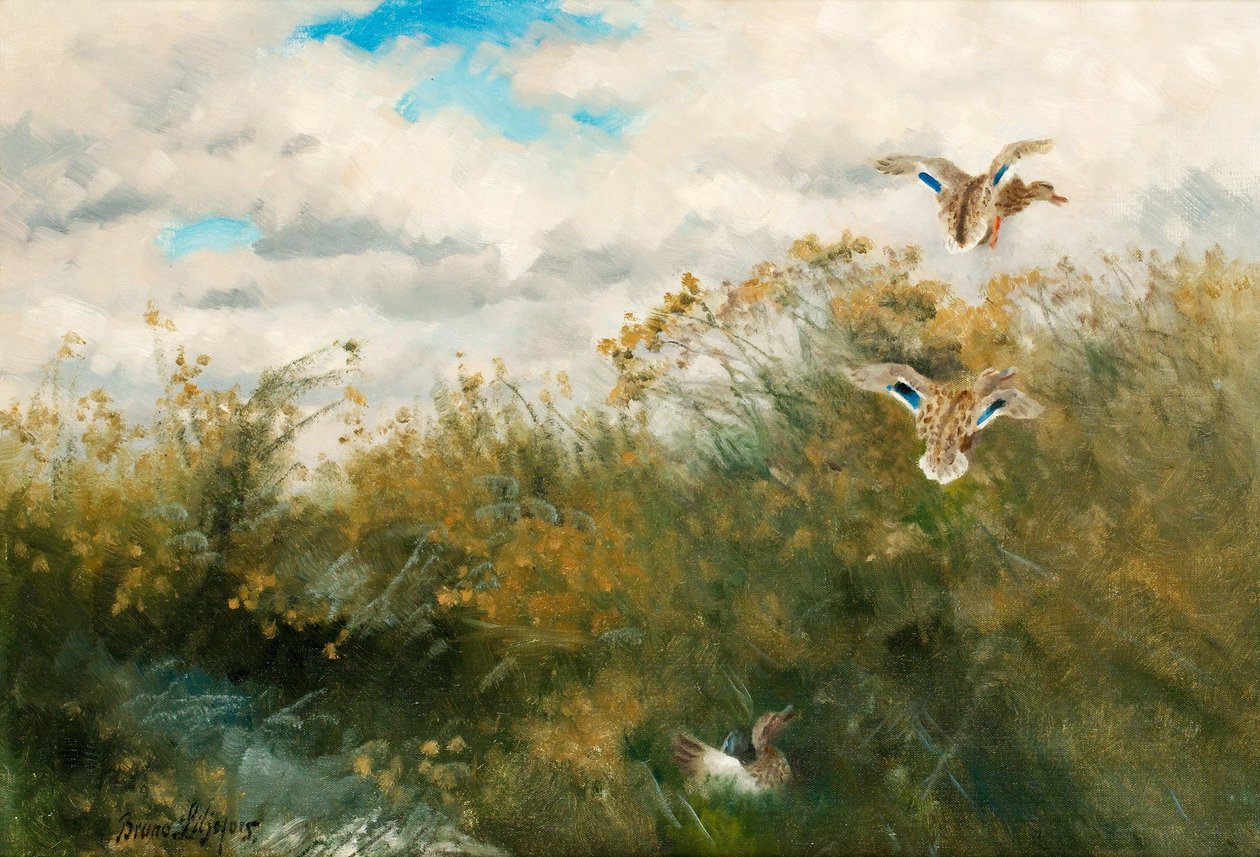 Grasander de Bruno Andreas Liljefors