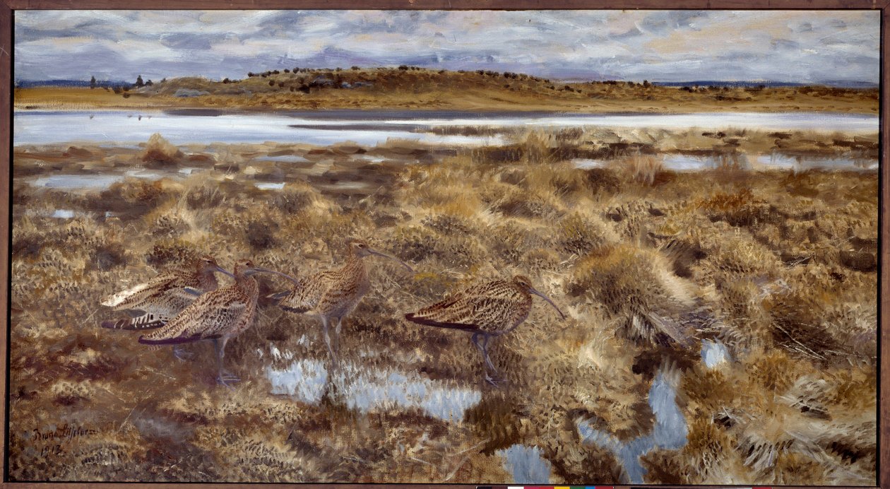 Zarapitos Aves en las marismas. Pintura de Bruno Andreas Liljefors (1860-1939) 1913 Sol. 1,19x2,2 m de Bruno Andreas Liljefors
