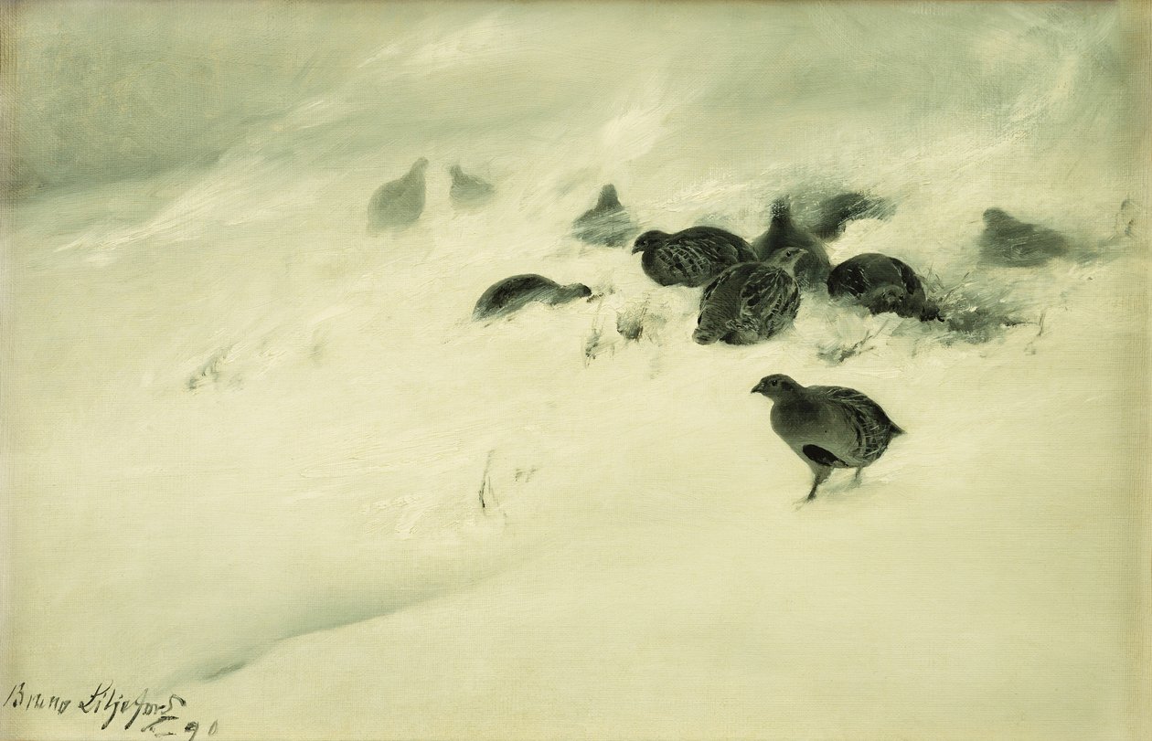 Urogallos en una tormenta de nieve de Bruno Andreas Liljefors