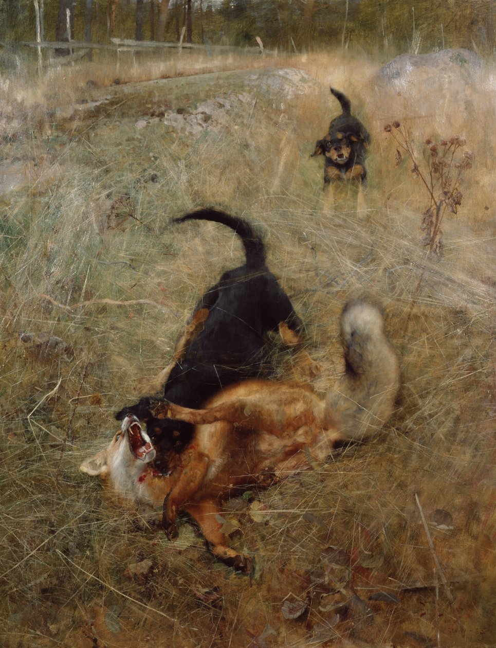 Sabuesos y zorro de Bruno Andreas Liljefors