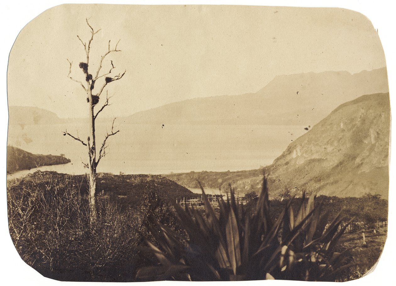 Lago y monte Tarawera desde Te Wairoa, 1860 de Bruno Hamel