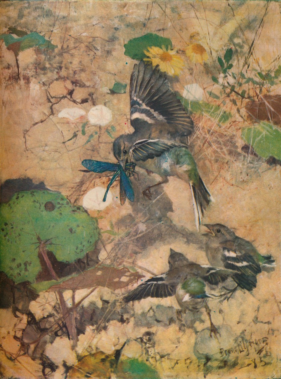 Panel por Bruno Liljefors, c1924 de Bruno Andreas Liljefors