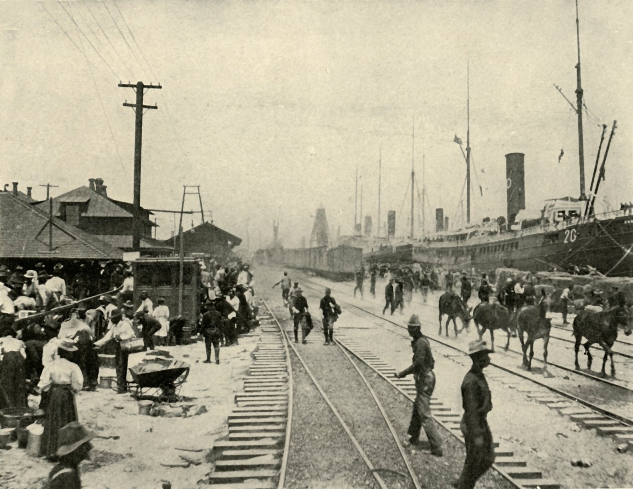 Prisioneros liberados, Guerra Hispanoamericana, junio 1898, 1899 de Burr McIntosh