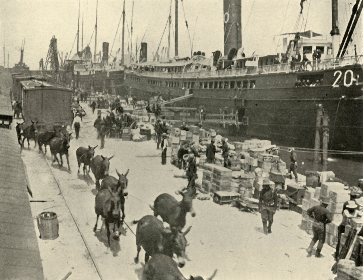Buques de tropas en Port Tampa, Florida, EE.UU., Guerra Hispanoamericana, 10 de junio de 1898, 1899 de Burr McIntosh