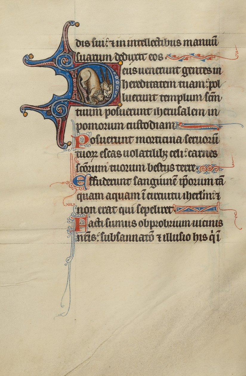 Inicial D: Un león y unicornios de Bute Master