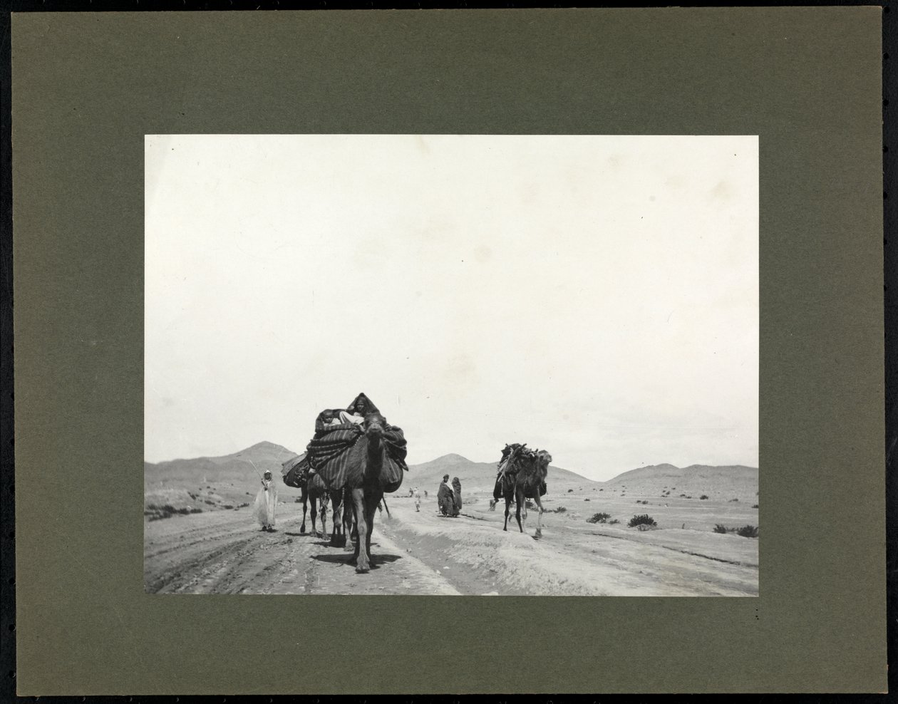 Camellos en un camino de tierra, presumiblemente en el norte de África, 1899 de Byron Company