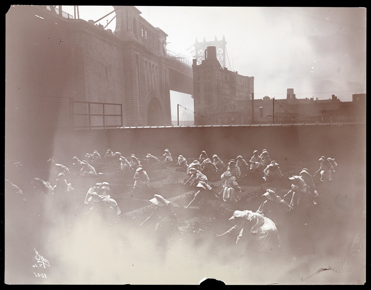 Niñas trabajando en un jardín de vegetales en la azotea, Puente de Manhattan visible al fondo, Nueva York, 1910 de Byron Company