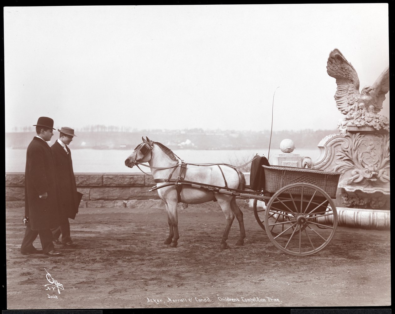 Dos hombres, pony y carro, Nueva York, 1910 o 1911 de Byron Company