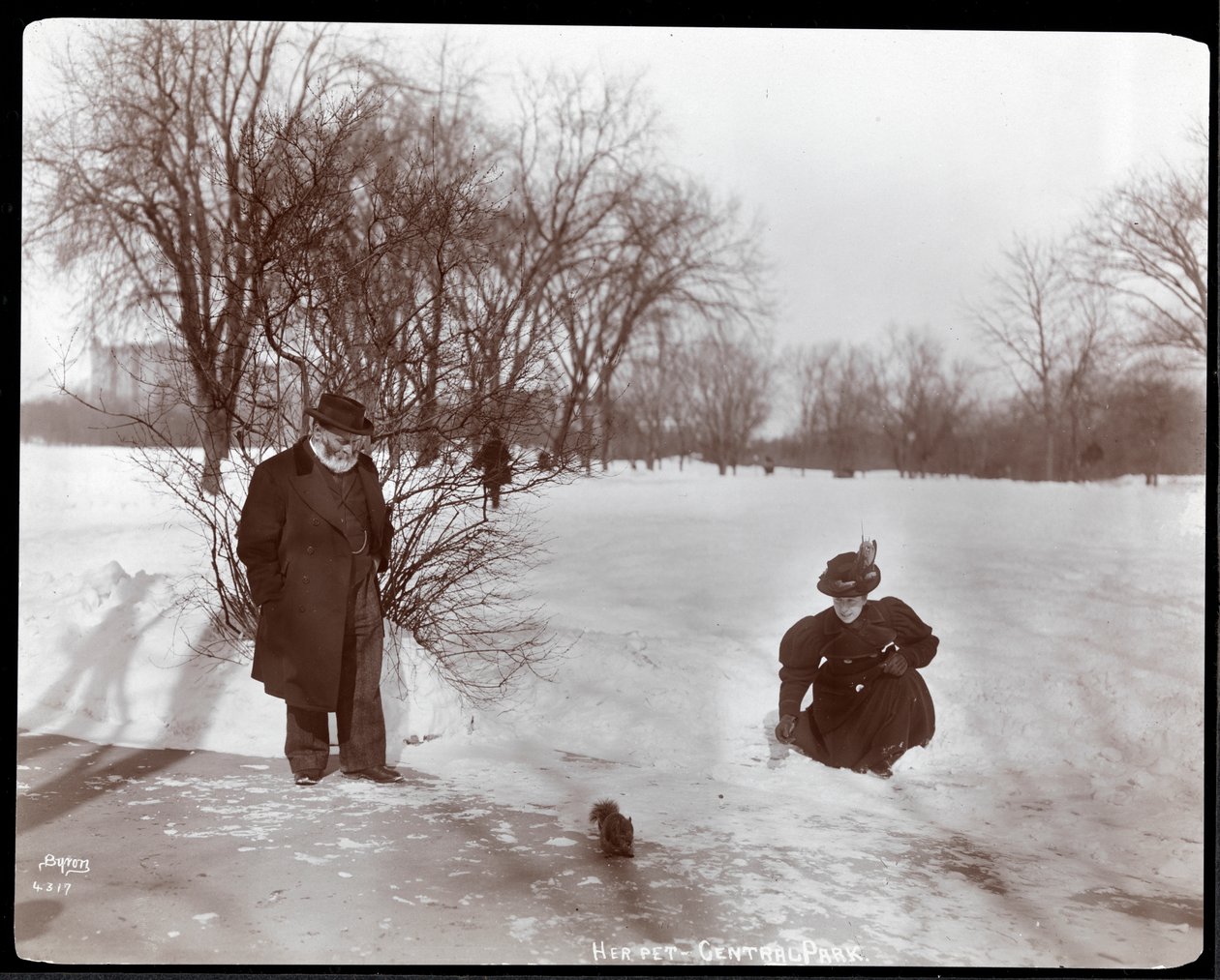 Vista de una mujer alimentando a una ardilla mientras un hombre observa en la nieve en Central Park, Nueva York, 1898 de Byron Company