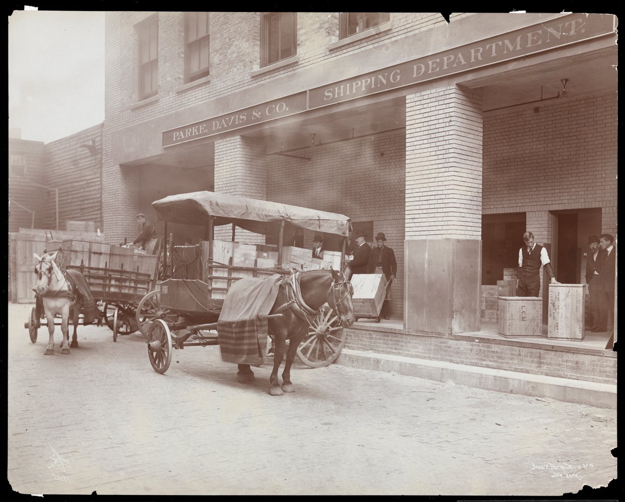 Vista del muelle de carga del departamento de envíos en Parke, Davis y Co., químicos, Hudson y Vestry Streets, Nueva York, 1910 de Byron Company