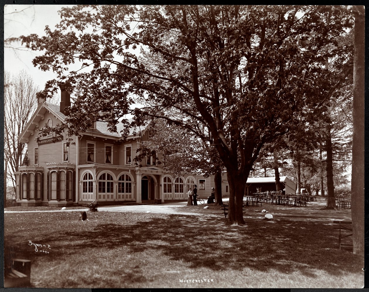Vista a través de los árboles de la posada Woodmansten, Westchester, Nueva York, 1901 de Byron Company