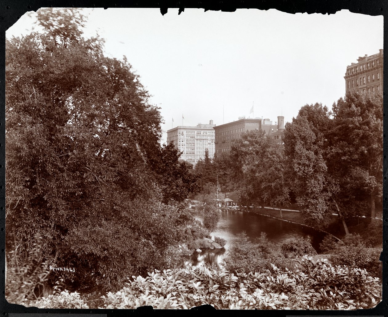 Central Park con vista de los hoteles Savoy y Plaza, 5ª Avenida y Calle 59, Nueva York, c.1896-98 de Byron Company