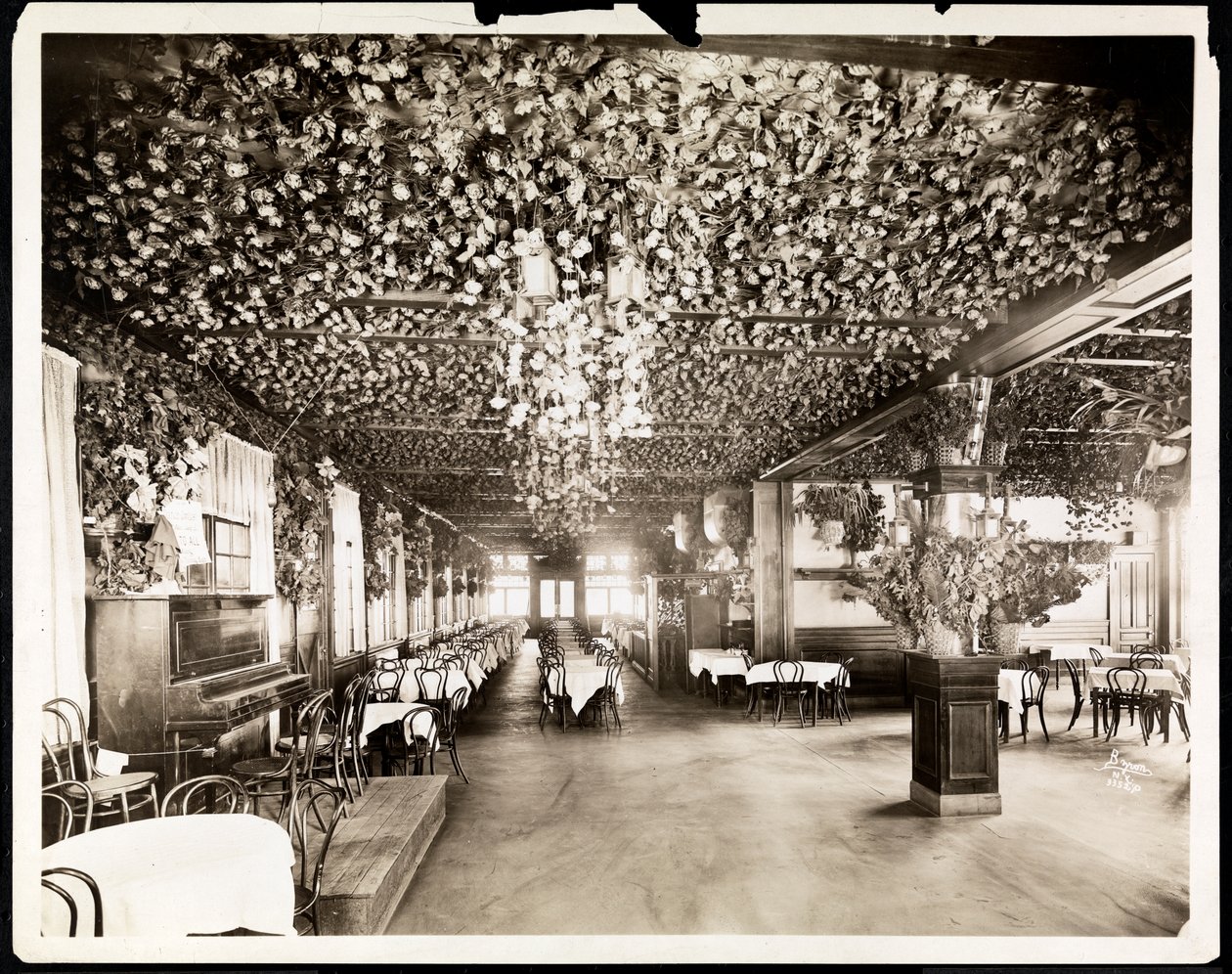 El comedor del Hotel Dolphin, Nueva York, 1915 de Byron Company
