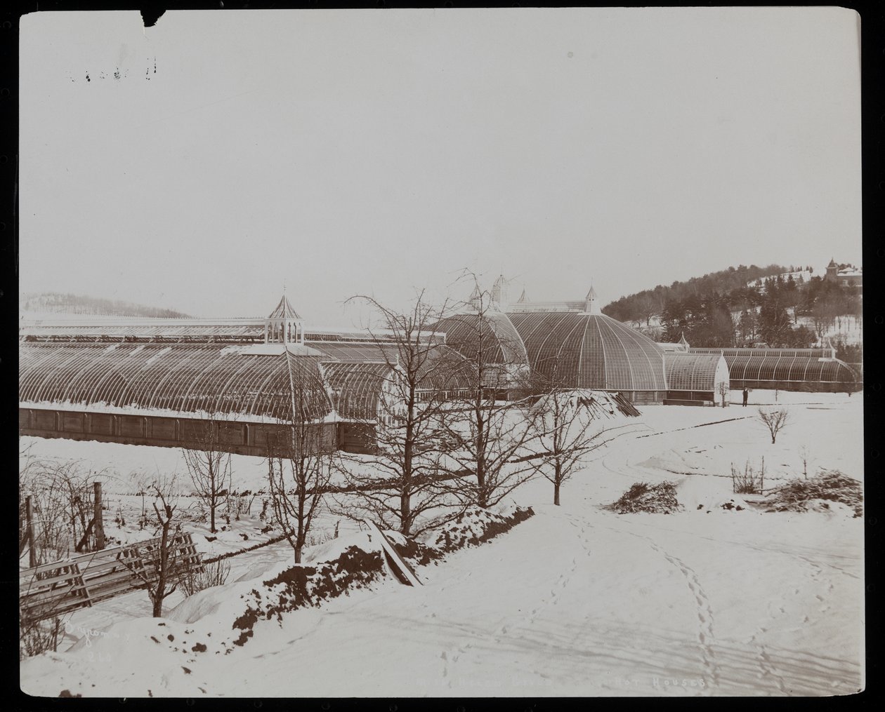 Los Invernaderos en la Nieve en la Finca de Helen Gould (antigua residencia de Jay Gould) en Tarrytown, Nueva York de Byron Company