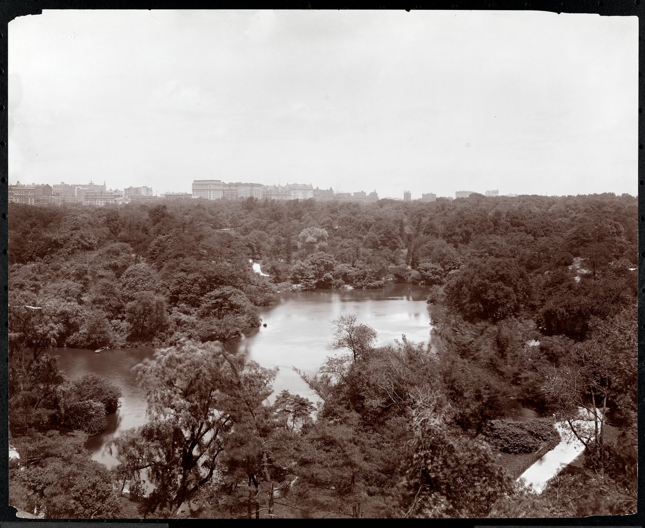 Vista de Central Park desde el Hotel Plaza, 5ª Avenida y Calle 59, Nueva York, 1907 de Byron Company