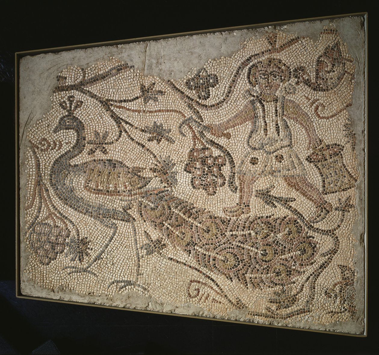 Panel de mosaico de suelo: Cosechador de uvas con pavo real, siglo V de Byzantine