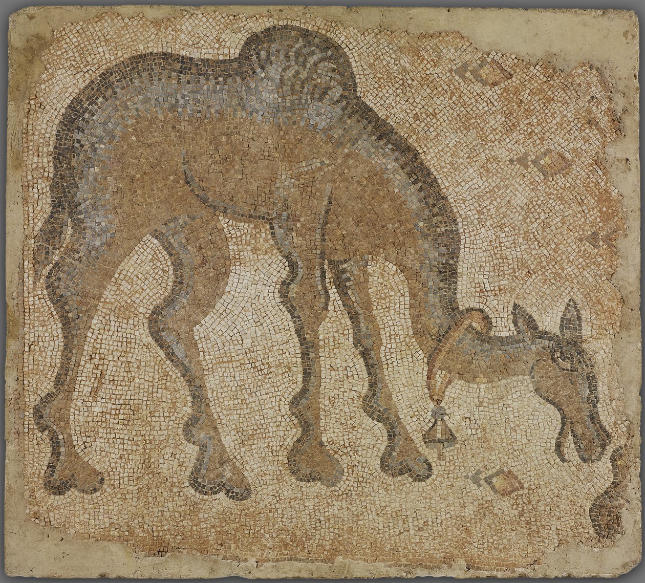 Fragmento de Mosaico con Camello Pastando de Byzantine