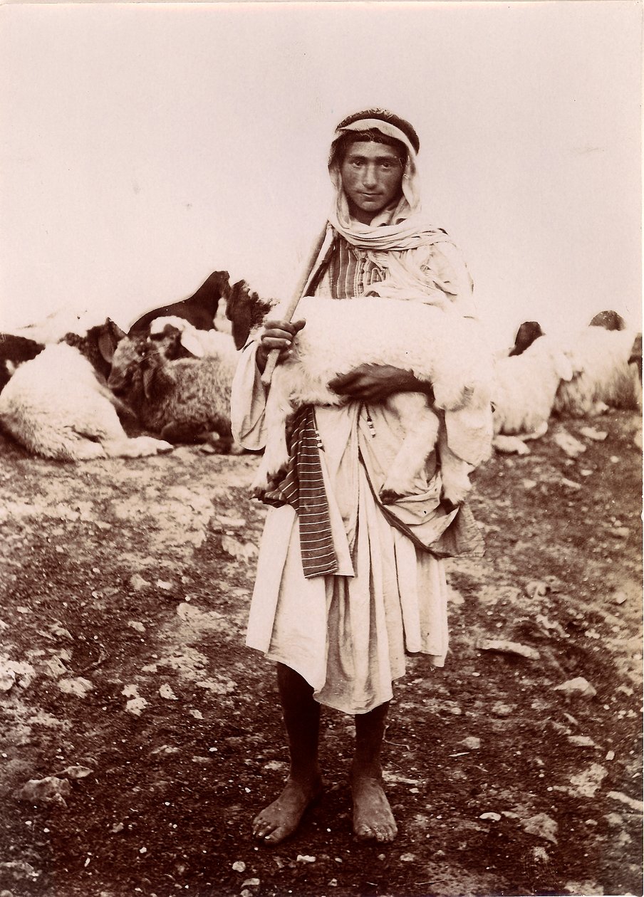 Un pastorcillo llevando un cordero, c.1894-1914 de C.A. Hornstein