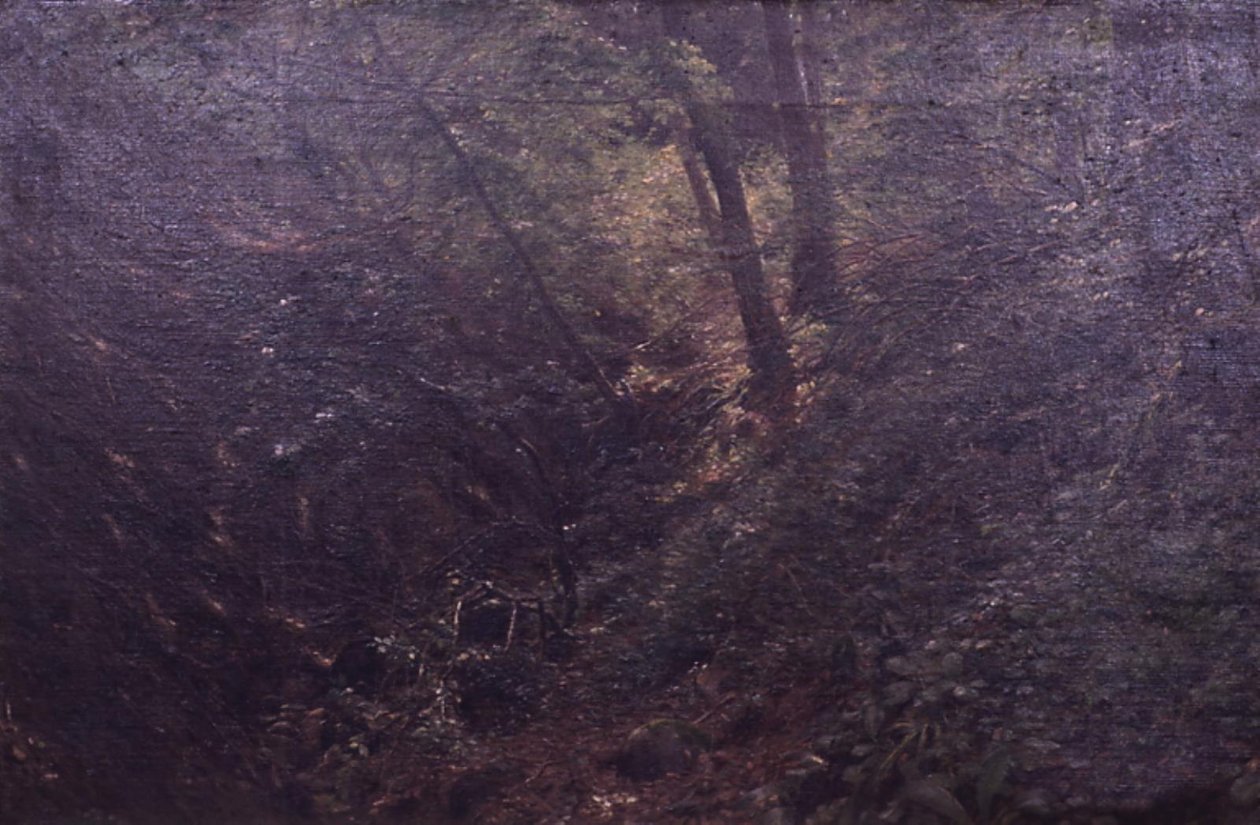 Primavera en un barranco de C.A. Kølle