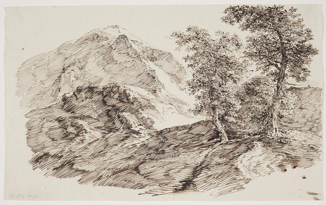 Paisaje montañoso con árboles de C.F. von Rumohr