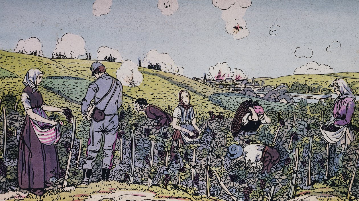 Nuestros viticultores cosechados bajo fuego, la cosecha en la región de Champagne en 1914, Primera Guerra Mundial, Francia, siglo XX de J.B. and Brown J. Rowbotham