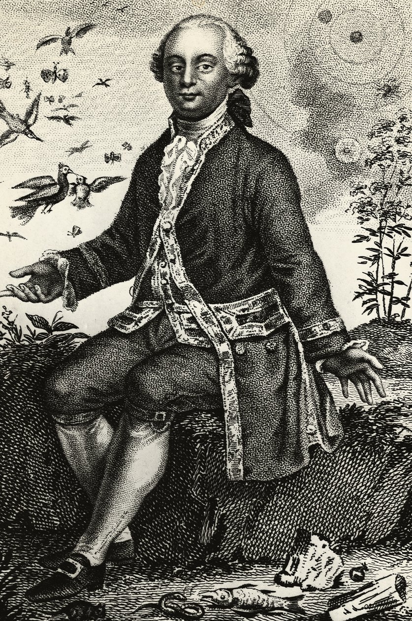 Retrato de Georges-Louis Leclerc de Buffon (1707-1788), naturalista y matemático francés, grabado de J.B. and Brown J. Rowbotham