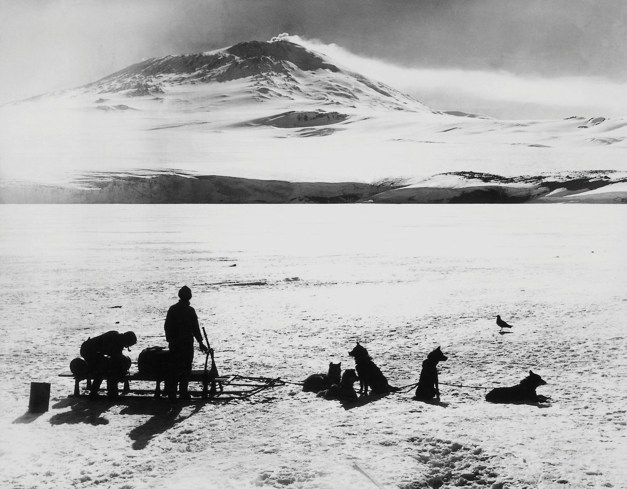 Expedición al Polo Sur por Robert Falcon Scott (1868-1912), exploradores ante el volcán Erebus en la isla Ross, 15 de enero de J.B. and Brown J. Rowbotham