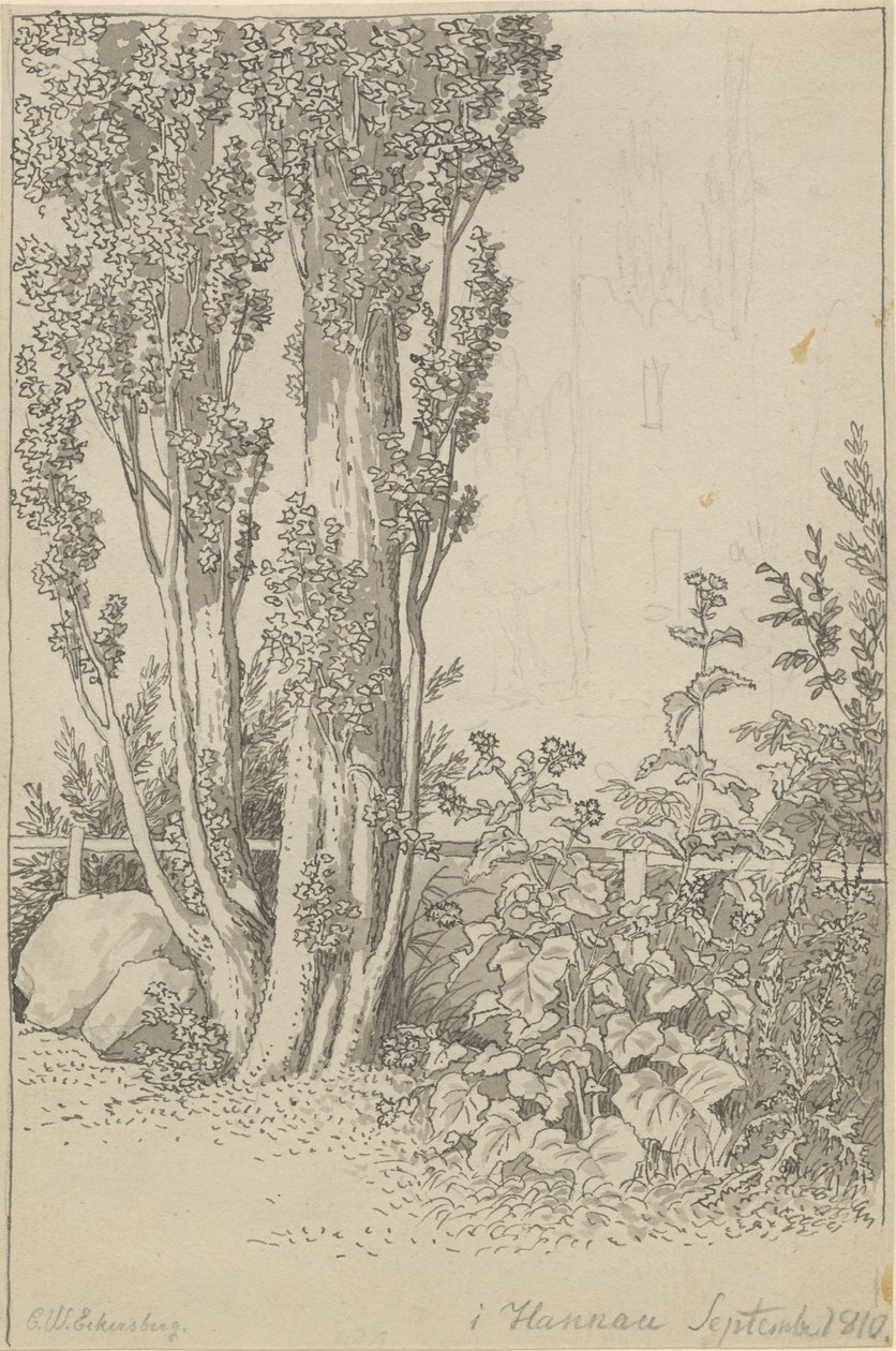 Álamos y plantas silvestres en Hannau de Christoffer Wilhelm Eckersberg