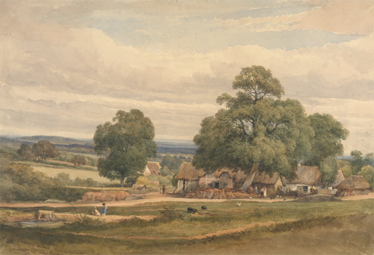Emerey Down cerca de Lyndhurst, New Forest, Hants de C. John Mayle Whichelo