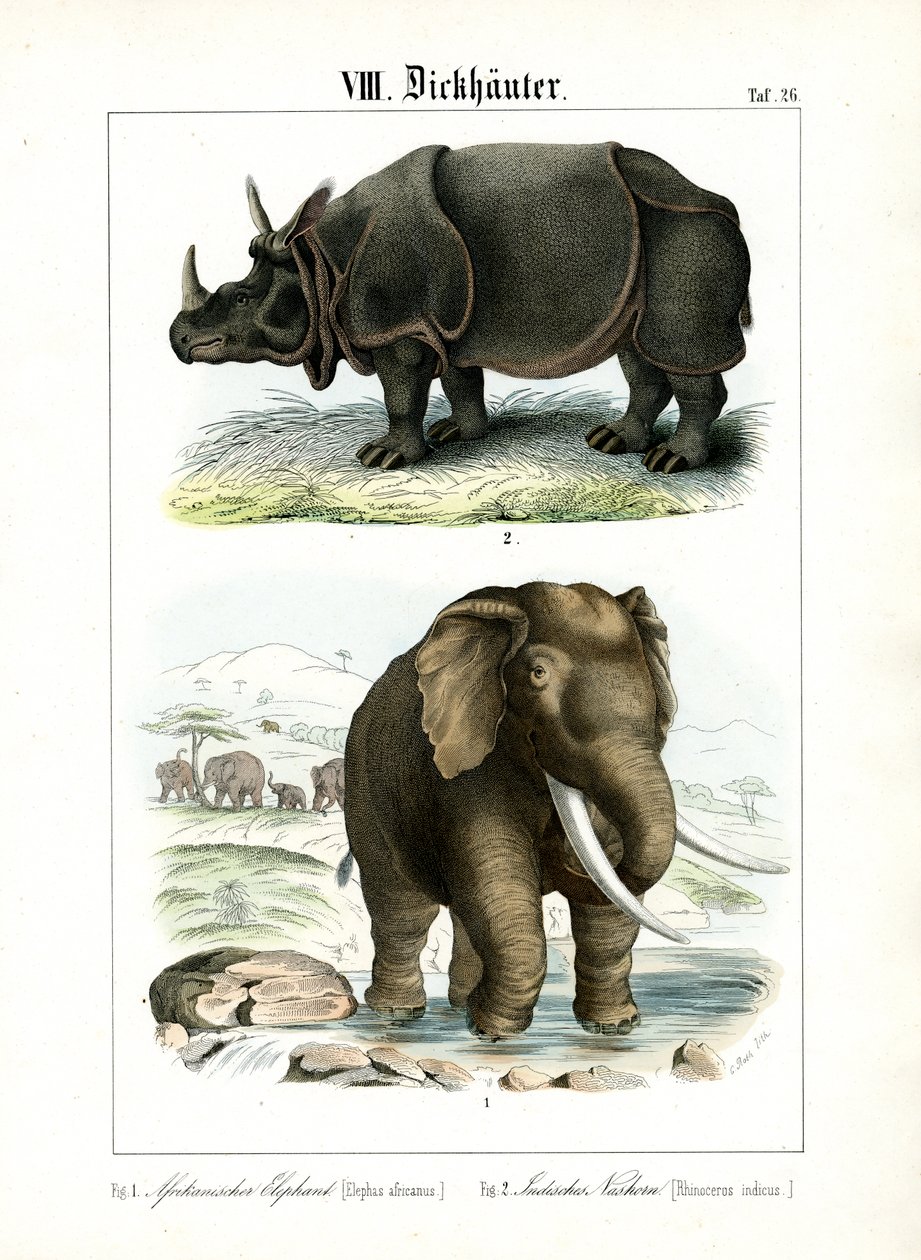 de C. Roth