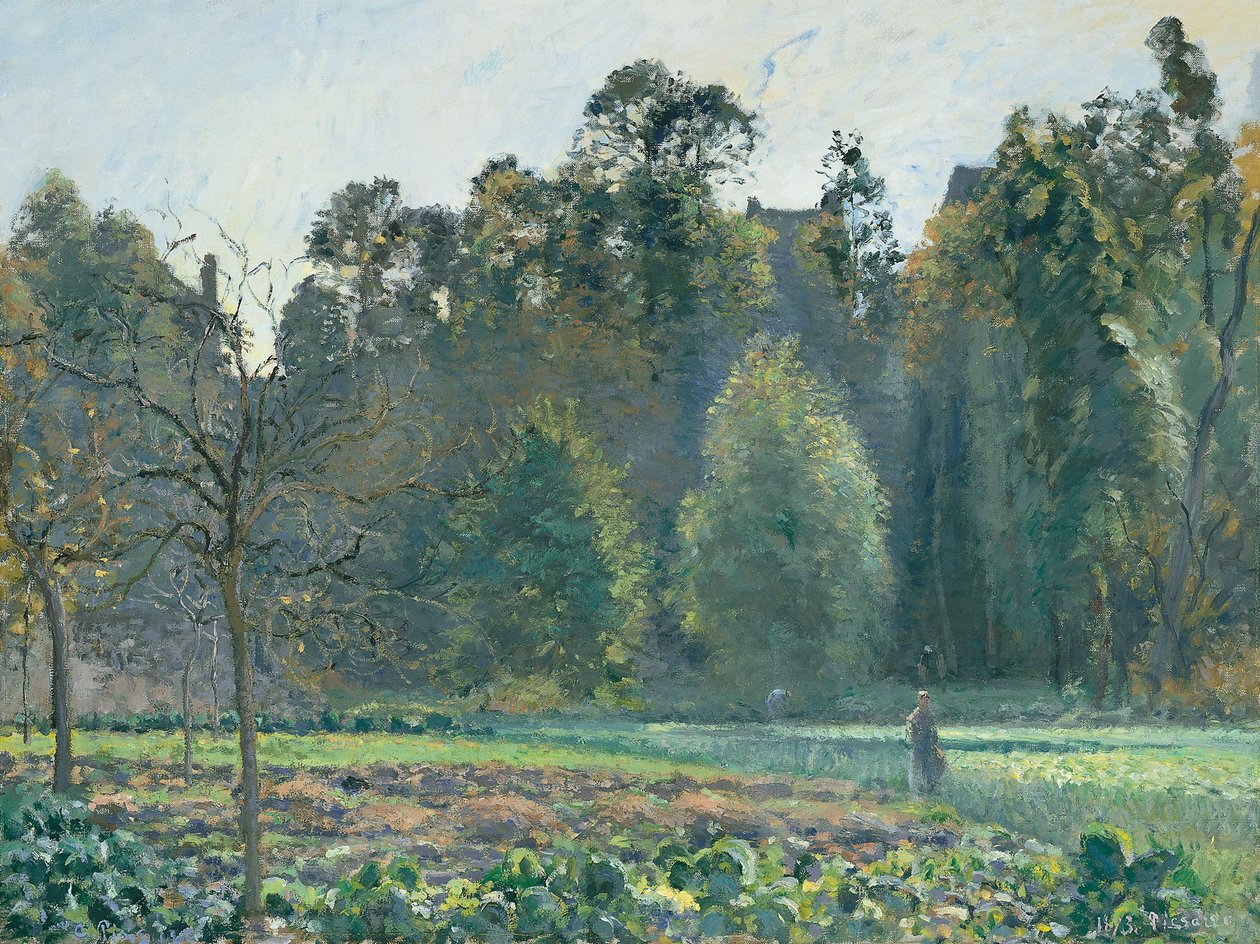 El campo de col, Pontoise de Camille Jacob Pissarro