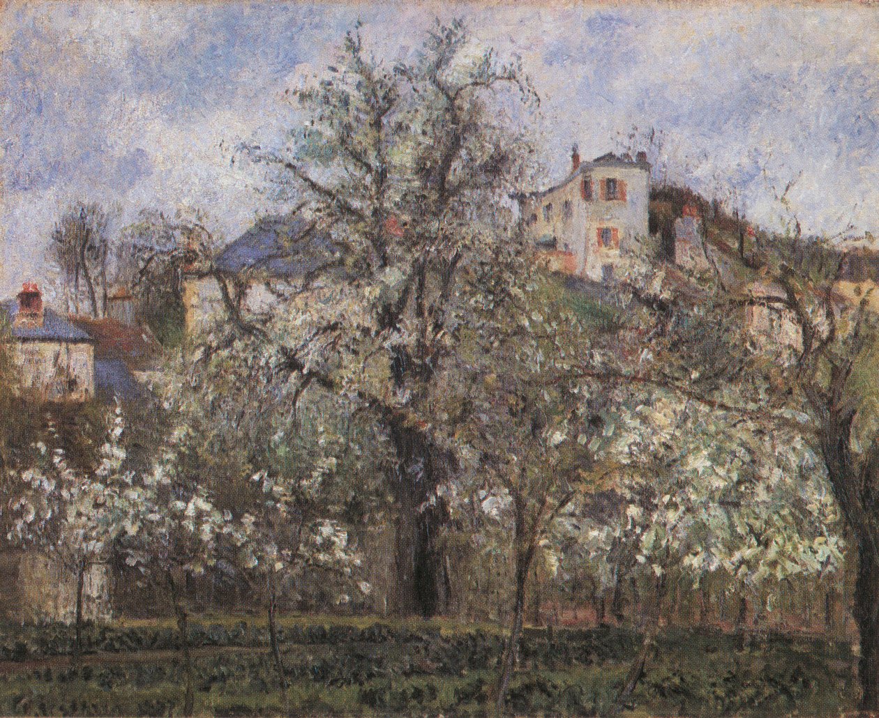 Huerto y árboles en flor, primavera, Pontoise de Camille Jacob Pissarro