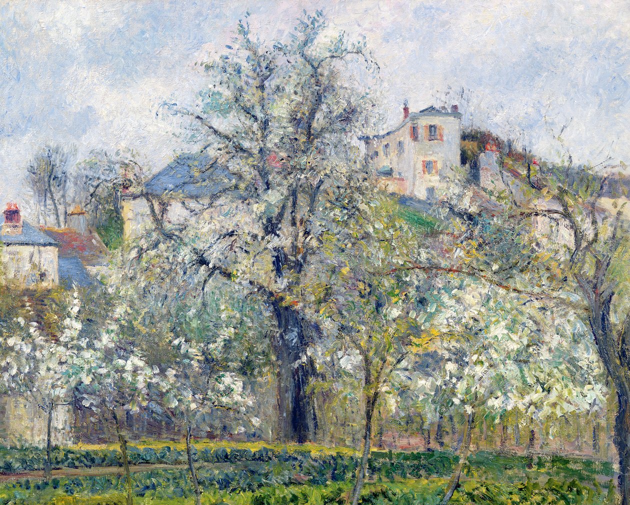 El Huerto con Árboles en Flor, Primavera, Pontoise, 1877 de Camille Jacob Pissarro