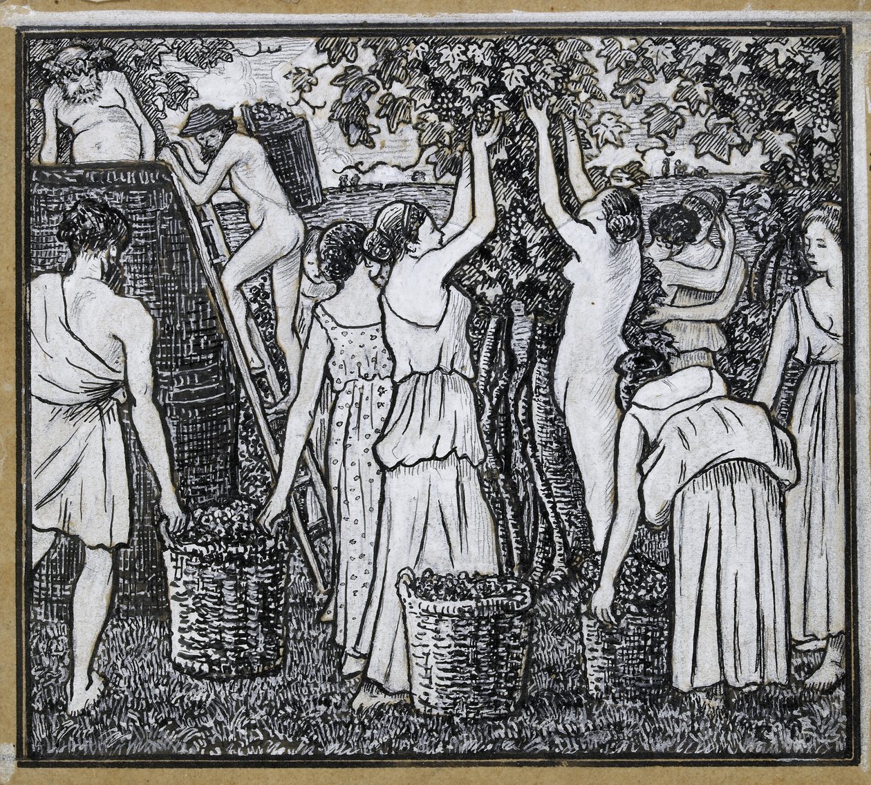 Cosecha de Uvas, estudio compositivo para una ilustración de 